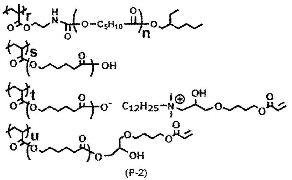 Figure JPOXMLDOC01-appb-C000043