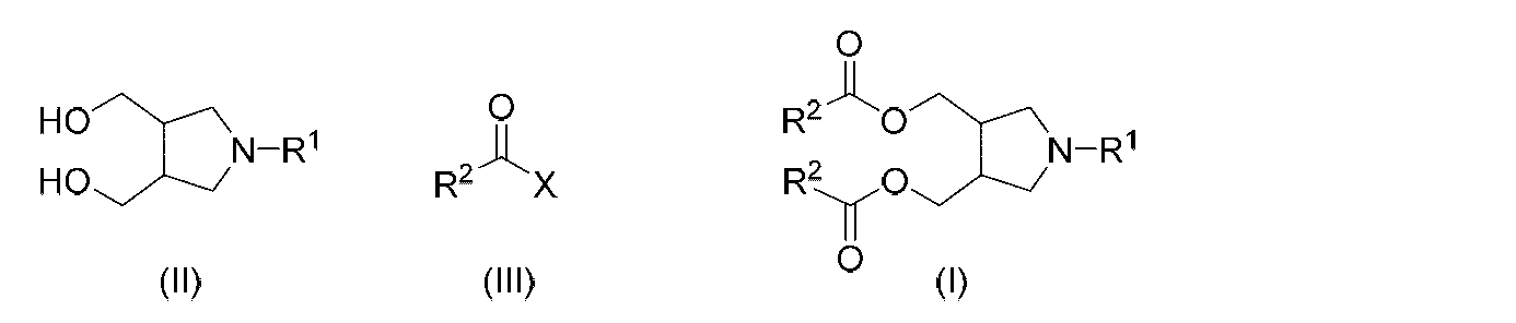 Figure JPOXMLDOC01-appb-C000008