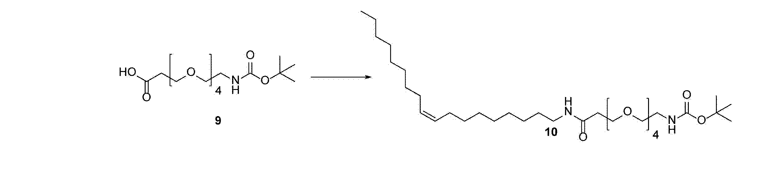 Figure JPOXMLDOC01-appb-C000013