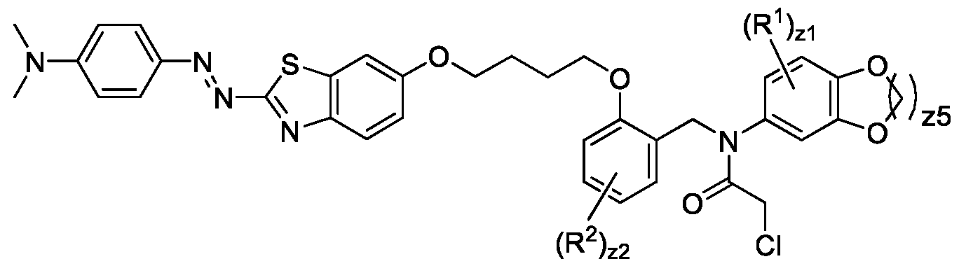 Figure imgf000371_0003