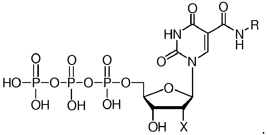 Figure imgb0028
