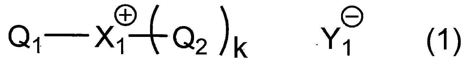 Figure JPOXMLDOC01-appb-C000024