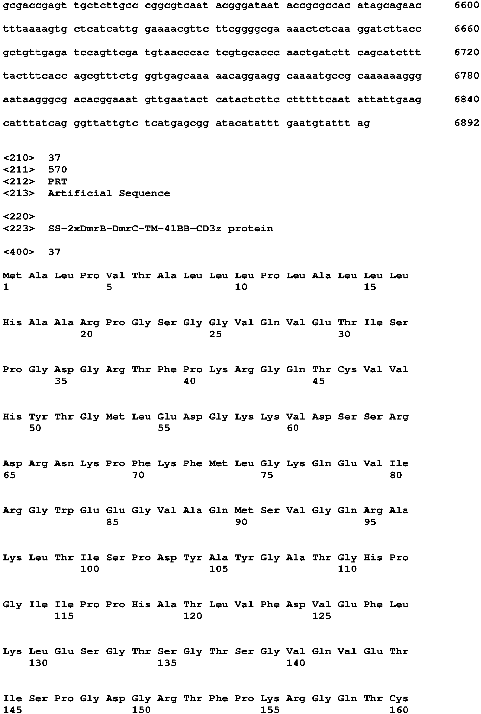 Figure imgb0145