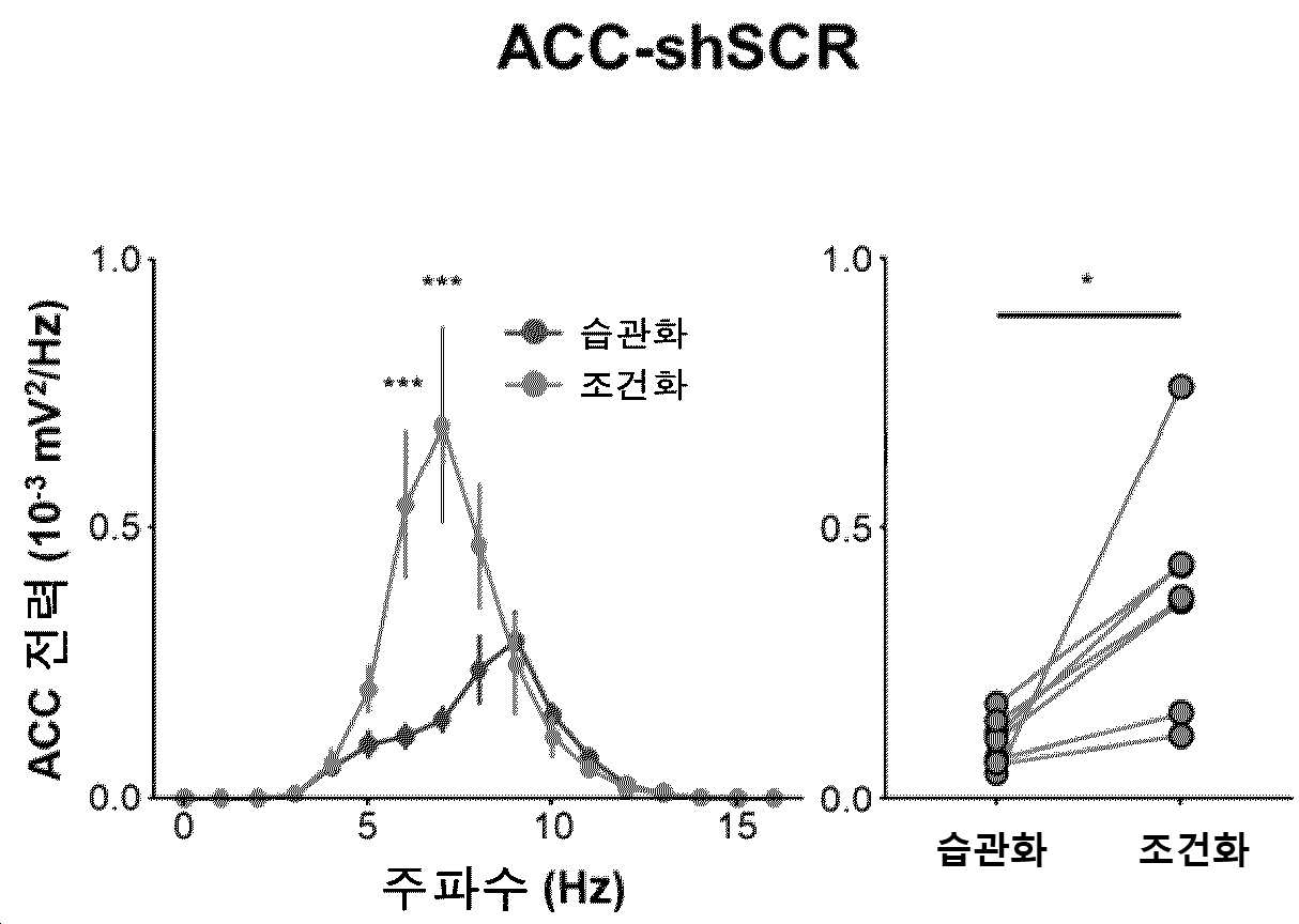 특허 도면 41