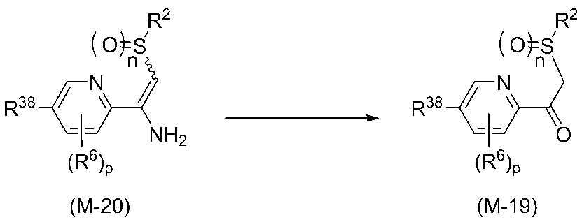 Figure JPOXMLDOC01-appb-C000029