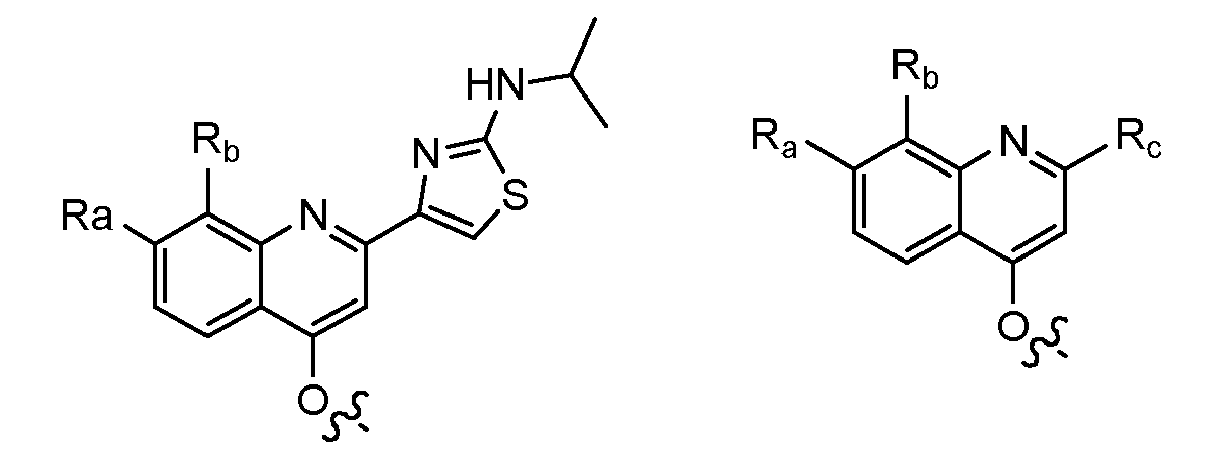 Figure imgb0011