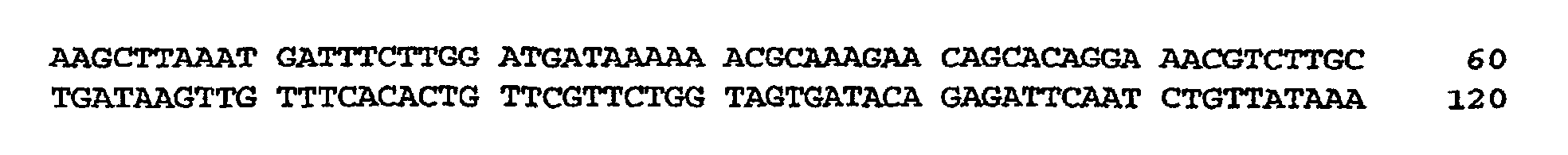 Figure 00190002