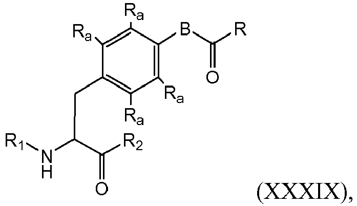 Figure imgb0033