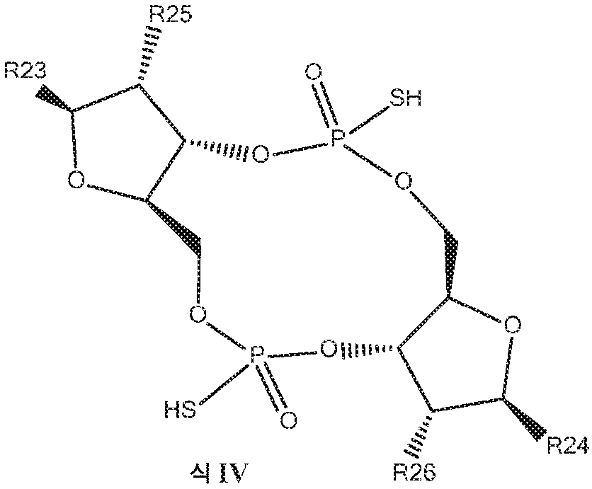 Figure pct00034