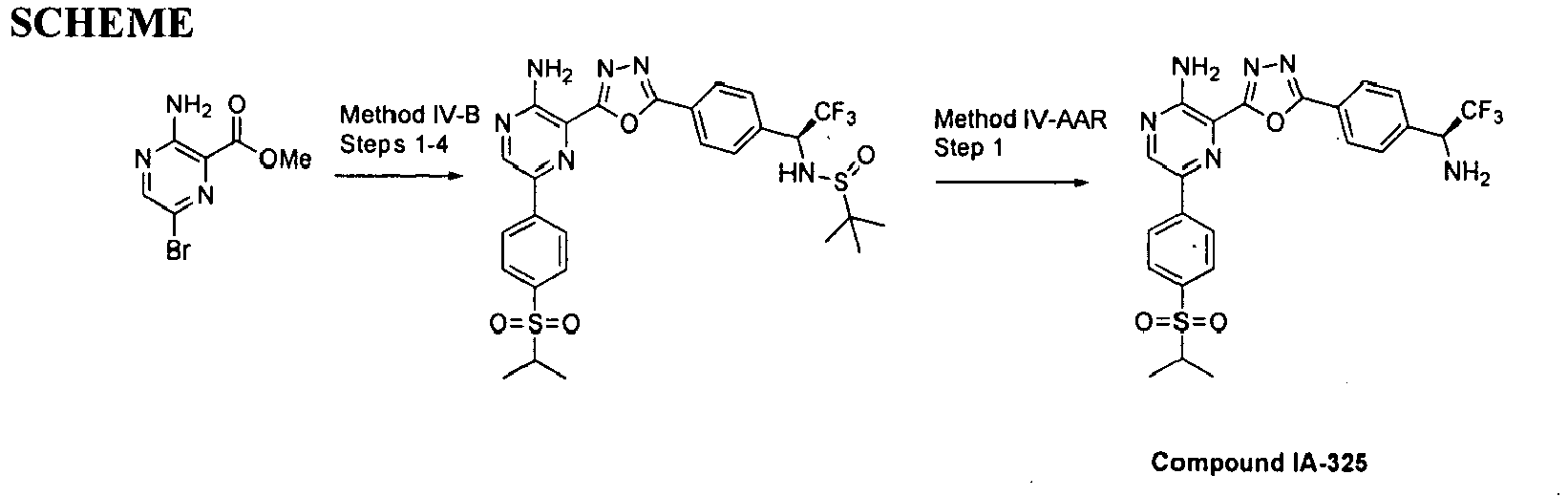 Figure imgb0975