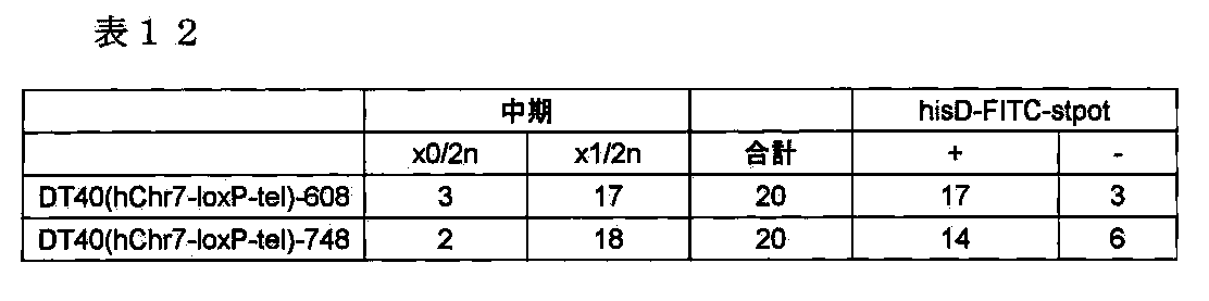 Figure JPOXMLDOC01-appb-T000033