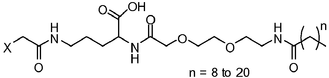 Figure imgb0113