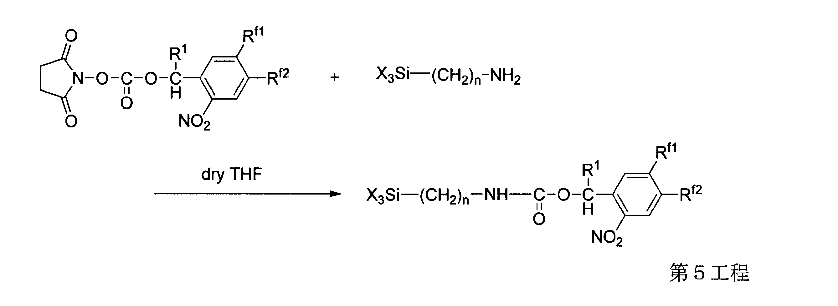 Figure JPOXMLDOC01-appb-C000009