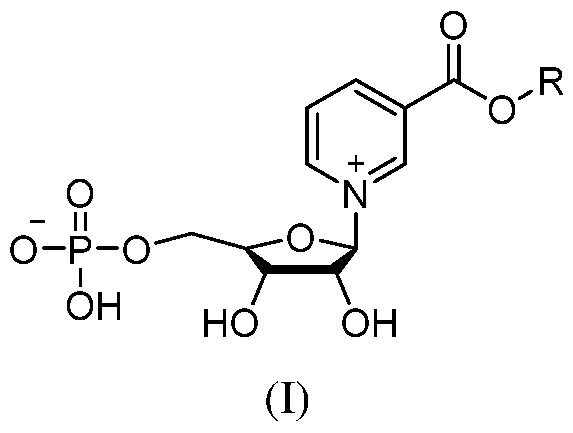 Figure imgf000005_0002