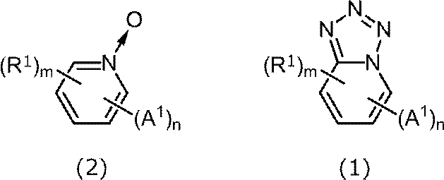 Figure JPOXMLDOC01-appb-C000012