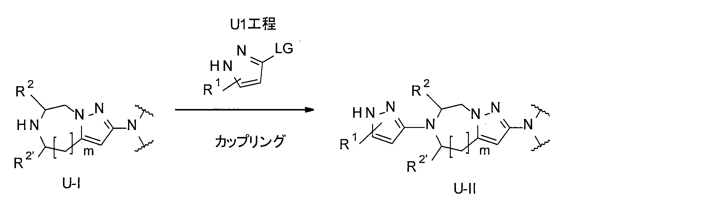 Figure JPOXMLDOC01-appb-C000048