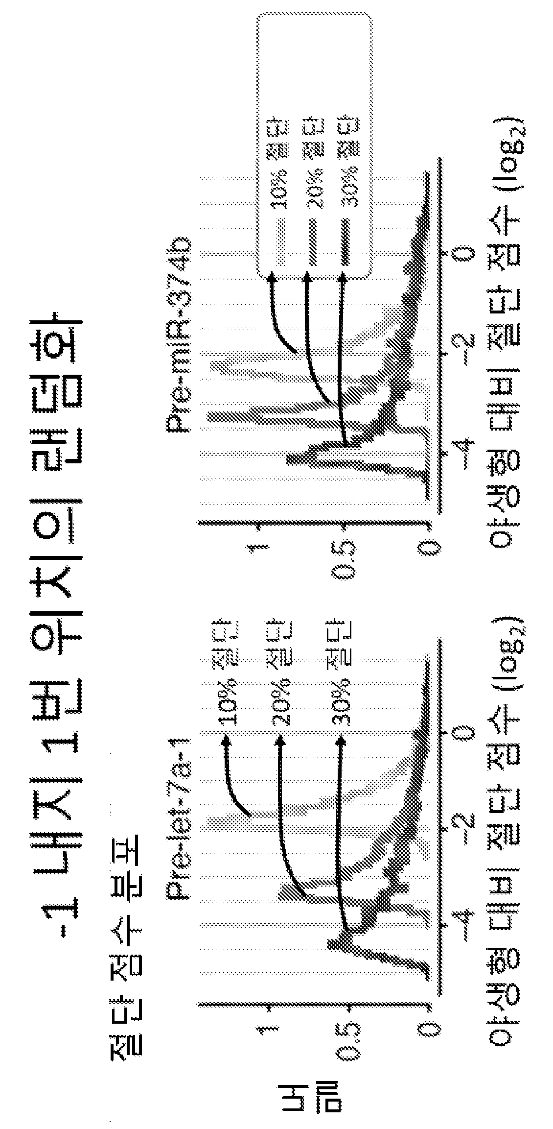 특허 도면 36