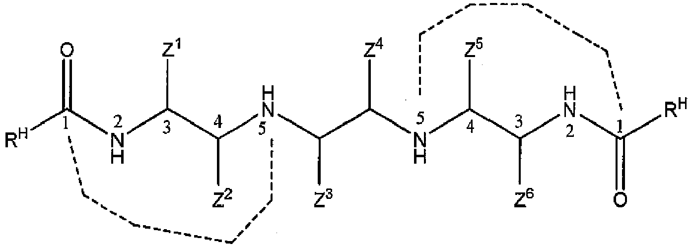 Figure imgb0019