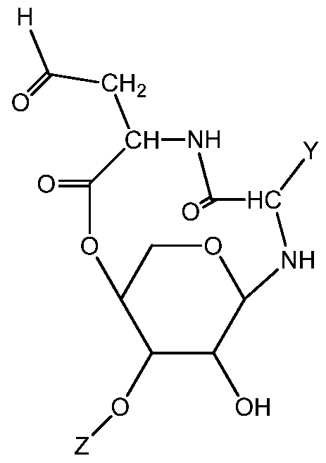 Figure imgf000003_0001