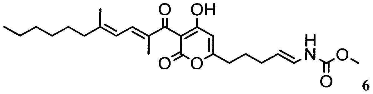Figure imgf000048_0001