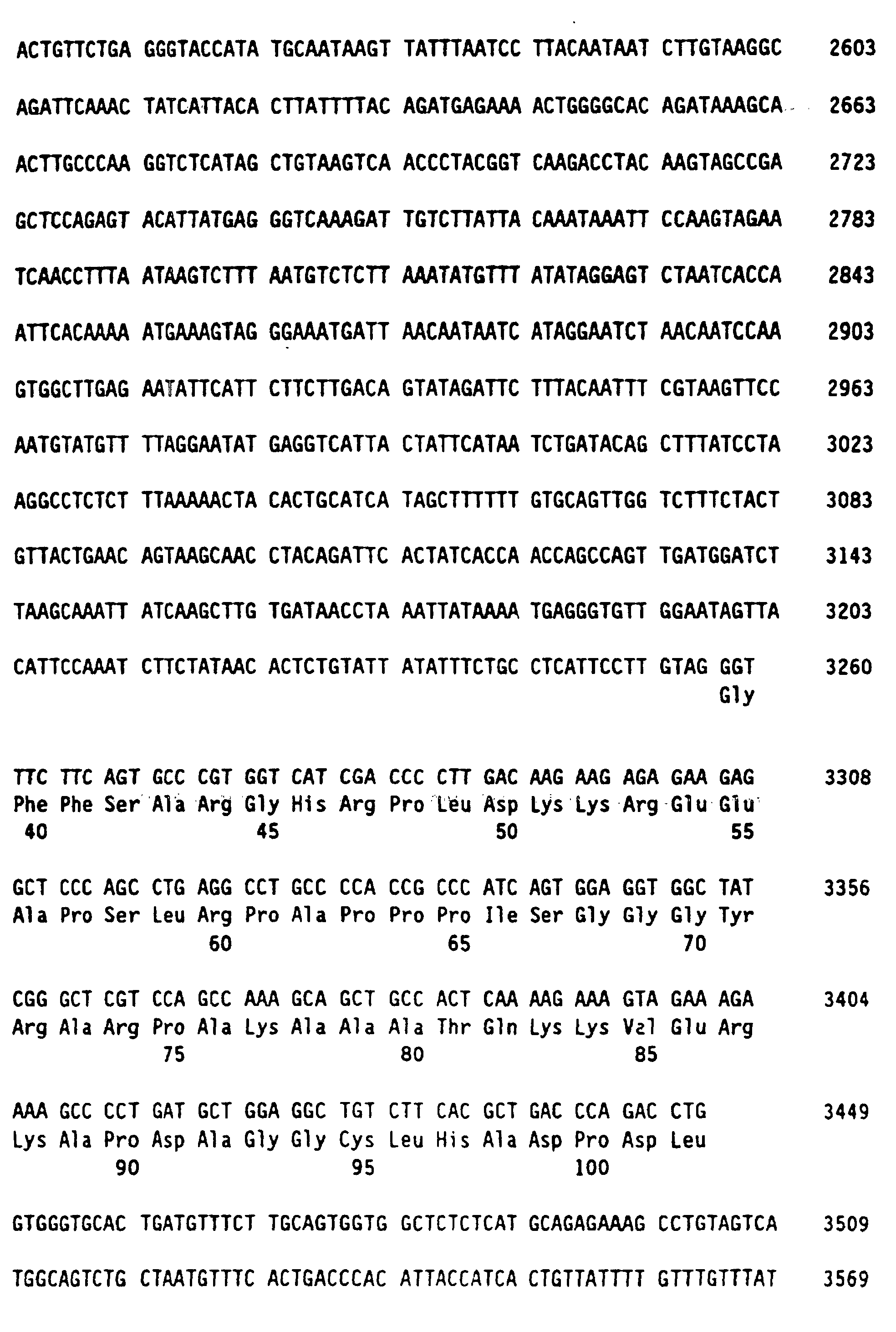 Figure 00490001