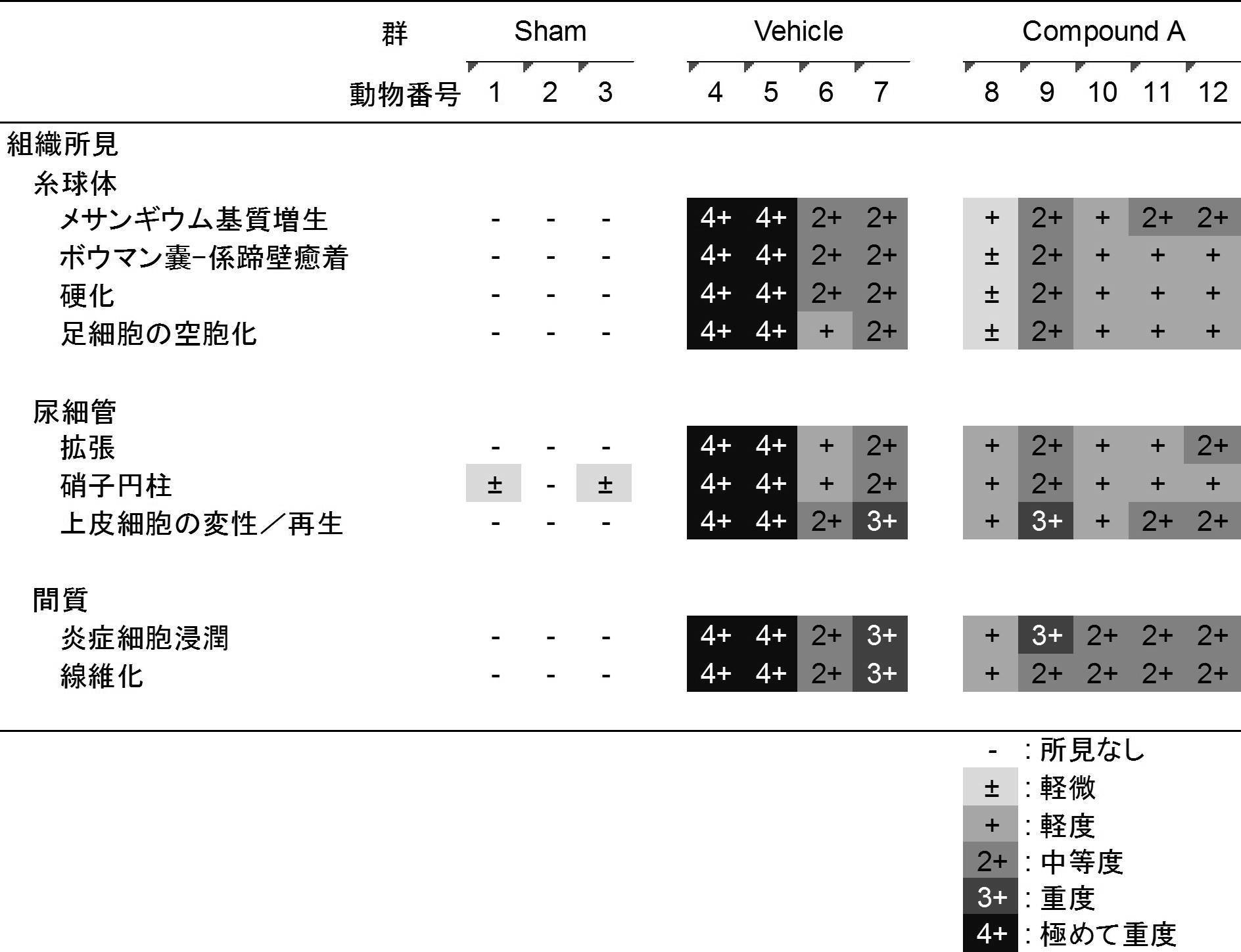 Figure JPOXMLDOC01-appb-T000041