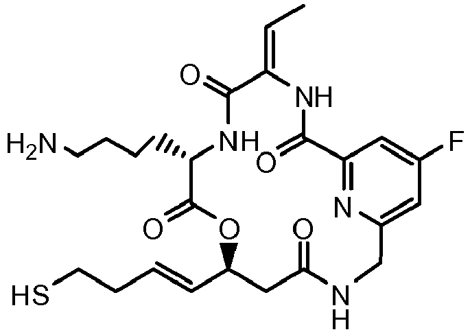 Figure imgb0121