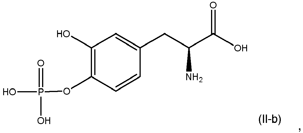 Figure imgb0137