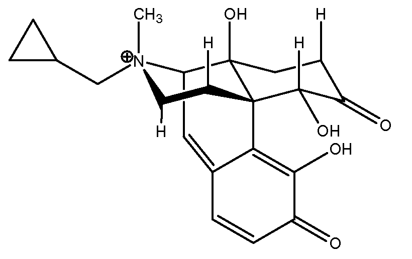 Figure pat00036