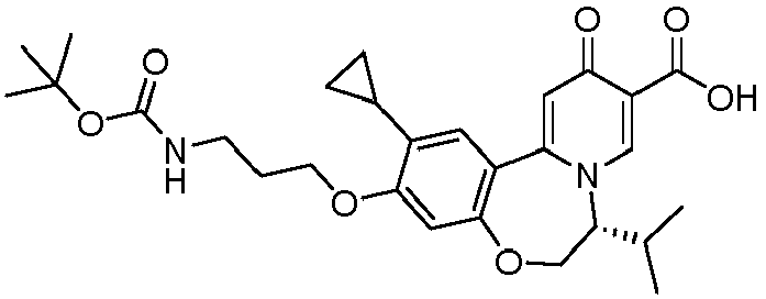 Figure imgb0260