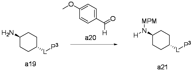 Figure JPOXMLDOC01-appb-C000029