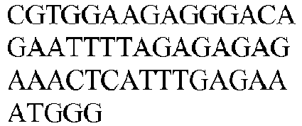 Figure imgb0380