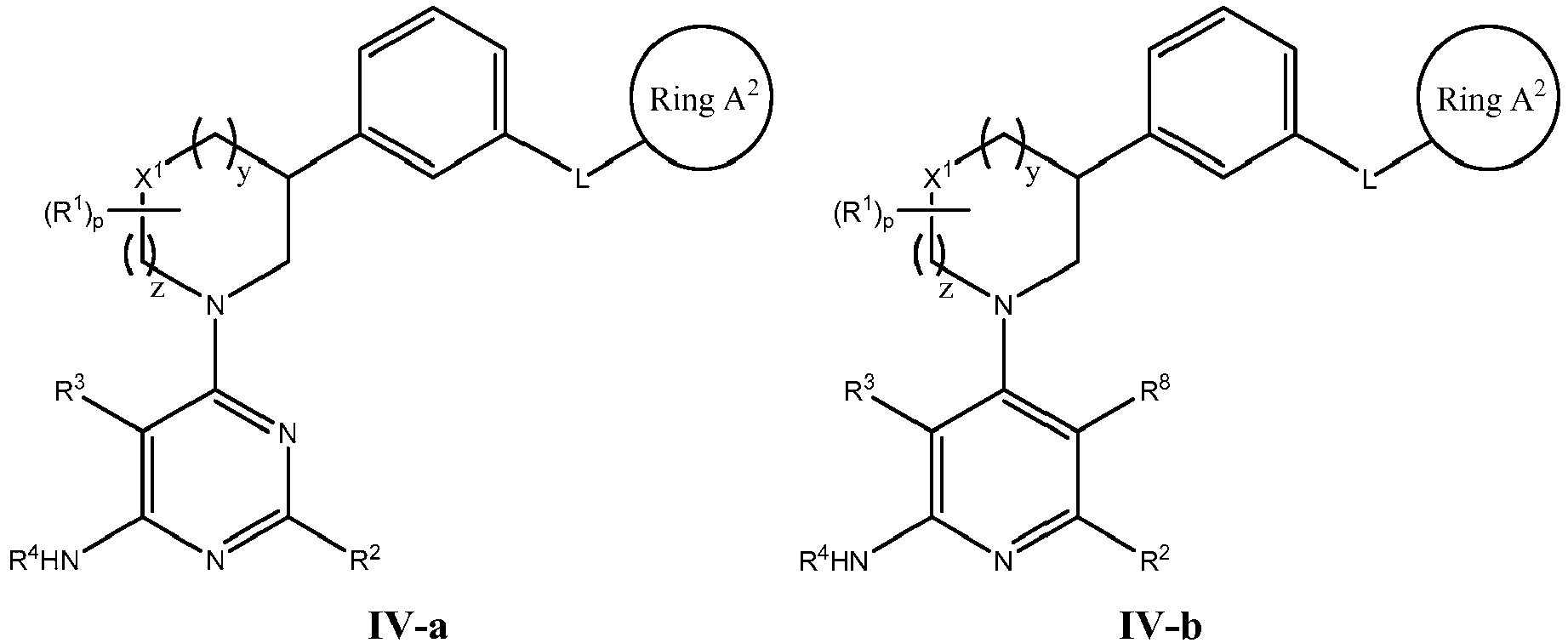 Figure imgb0041