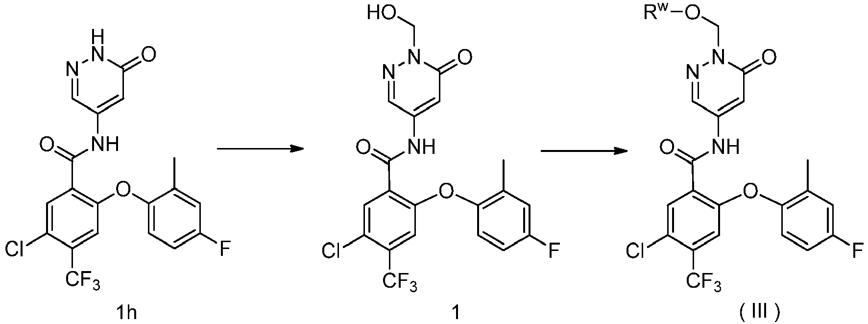 Figure imgb0081