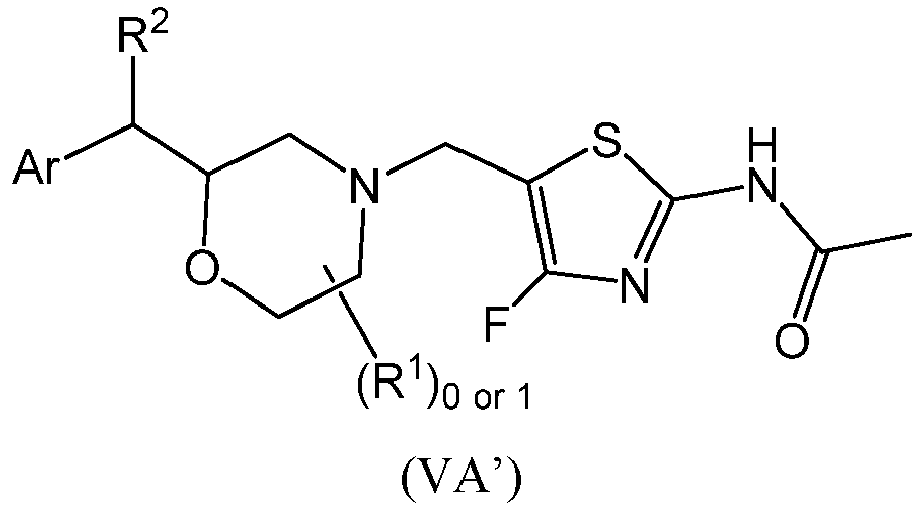 Figure imgb0219