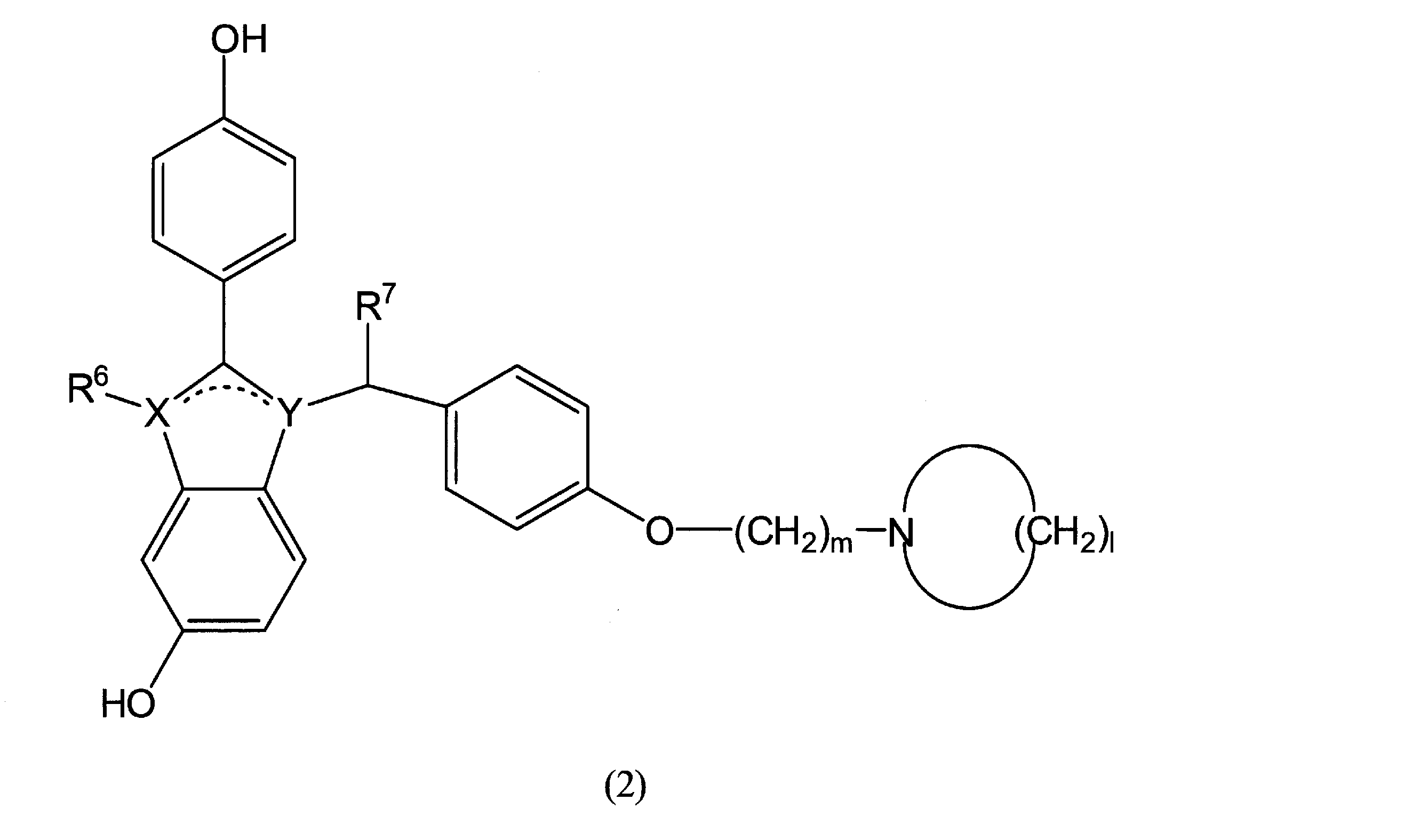Figure JPOXMLDOC01-appb-C000033