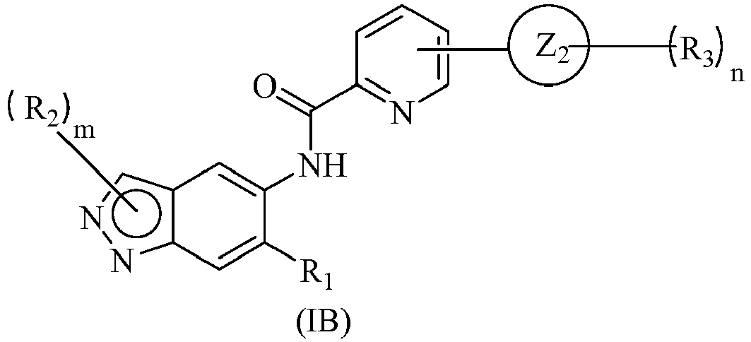 Figure imgb0163