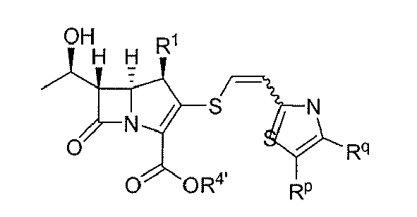 Figure imgb0106