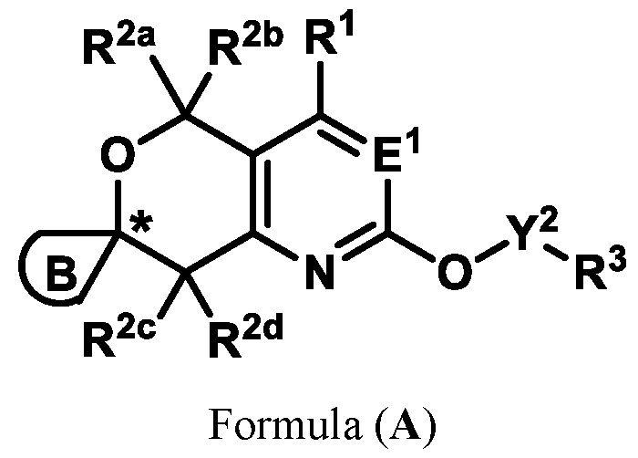 Figure imgf000005_0001