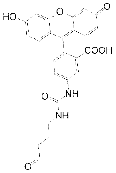 Figure imgf000071_0002