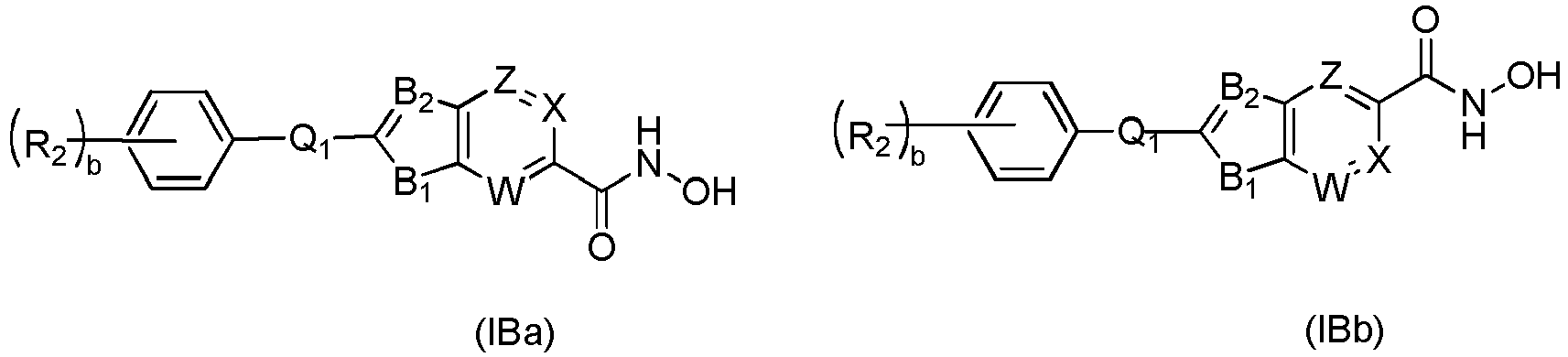 Figure imgb0024
