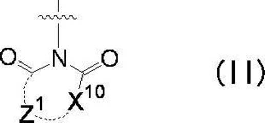 Figure JPOXMLDOC01-appb-C000009