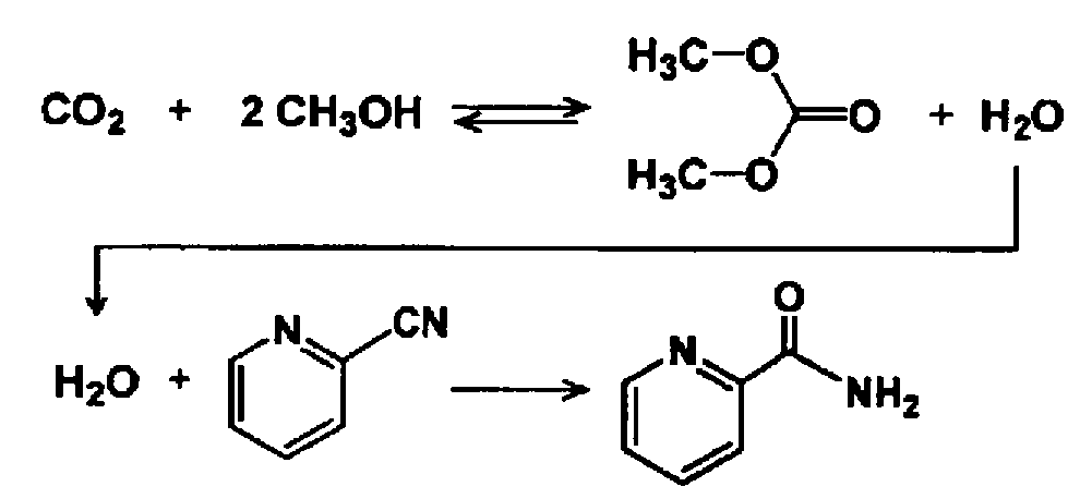 Figure JPOXMLDOC01-appb-C000003