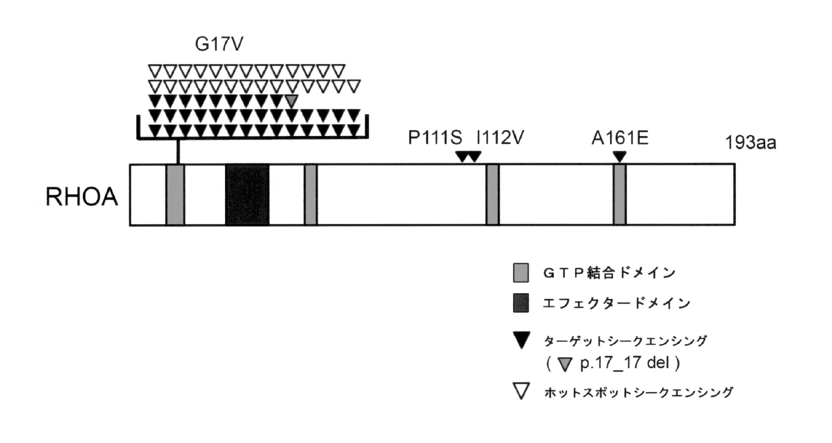 google patents