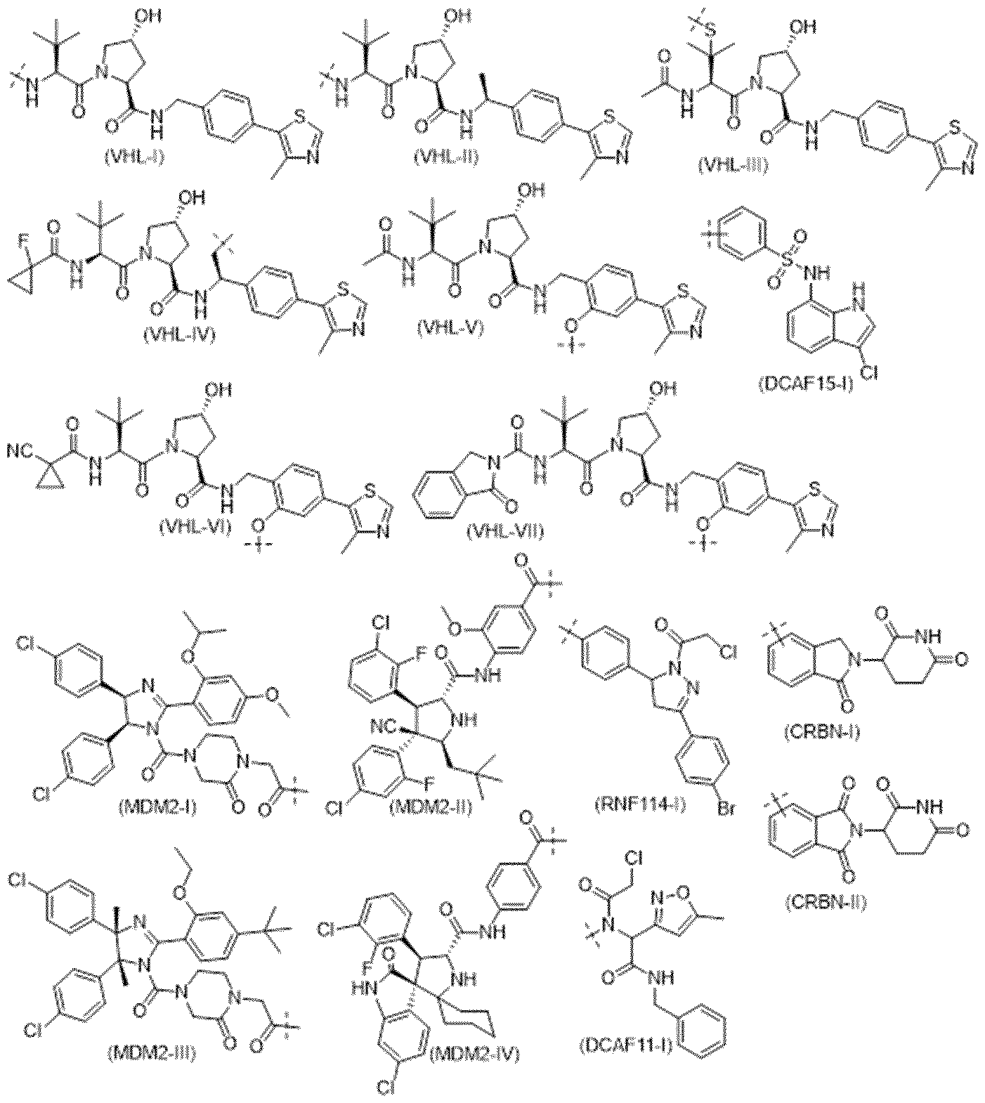 Figure imgf000034_0001