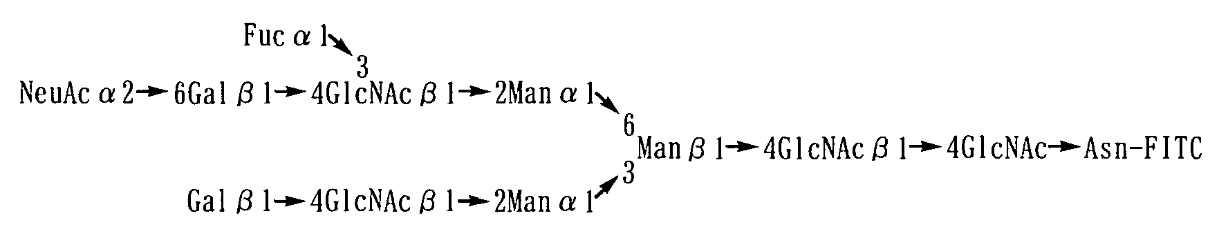 Figure 01000002