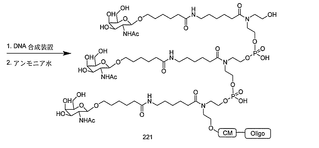Figure 2022017514000375