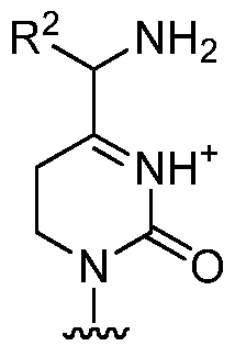 Figure imgf000083_0004