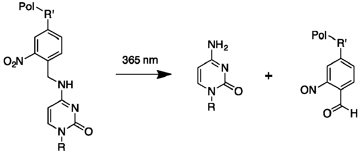 Figure imgb0008