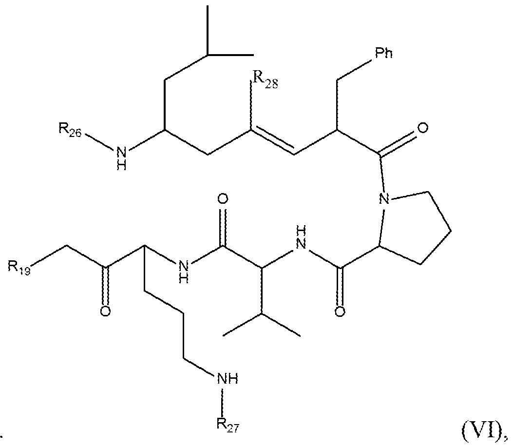 Figure imgf000007_0002